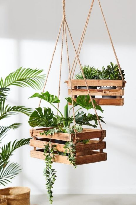 Cajas de madera colgantes con plantas en su interior