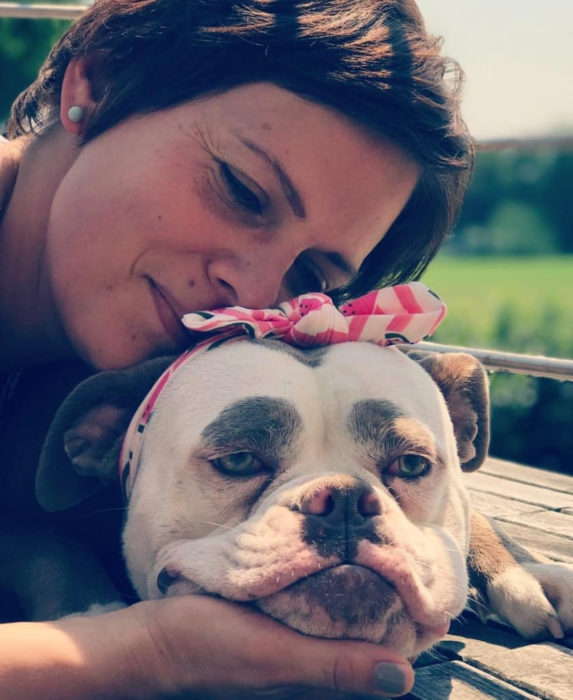 Madame Eyebrows, la perrita bulldog con cejas que la hacen parecer triste; perra con moño