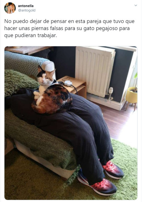 Personas comentando en twitter como sus mascotas no los dejan trabajar 