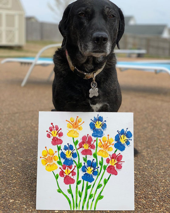 Peritos crean pinturas son tus patas