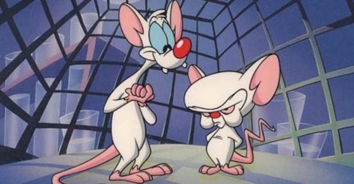 Escena de la serie animada Pinky y Cerebro de los Animaniacs