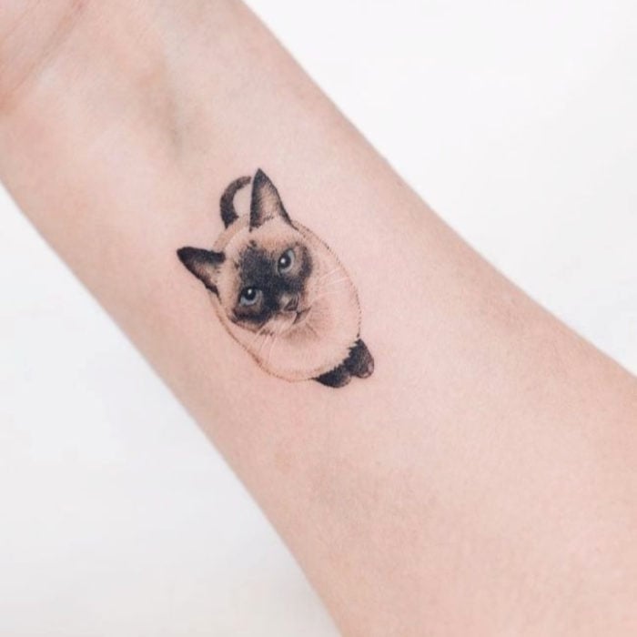 Tatuajes para regalarle a mamá el 10 de mayo; mini gato siamés realista