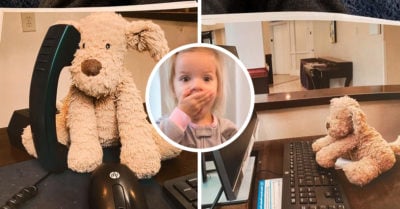 Olvida su peluche en el hotel y el personal documenta sus aventuras antes de enviarlo a casa