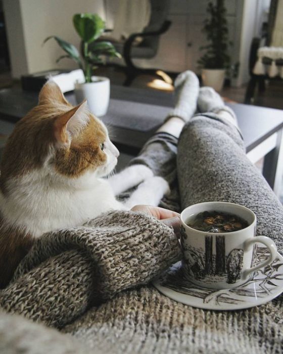 Chica tomando un té con su gato