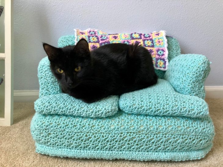 Gato negro acostado en sillón azul