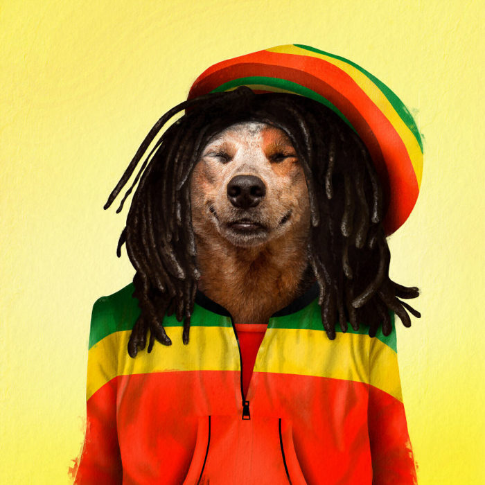 Perro disfrazado como Bob Marley 