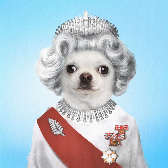 Perrito disfrazado como La reina Isabel II