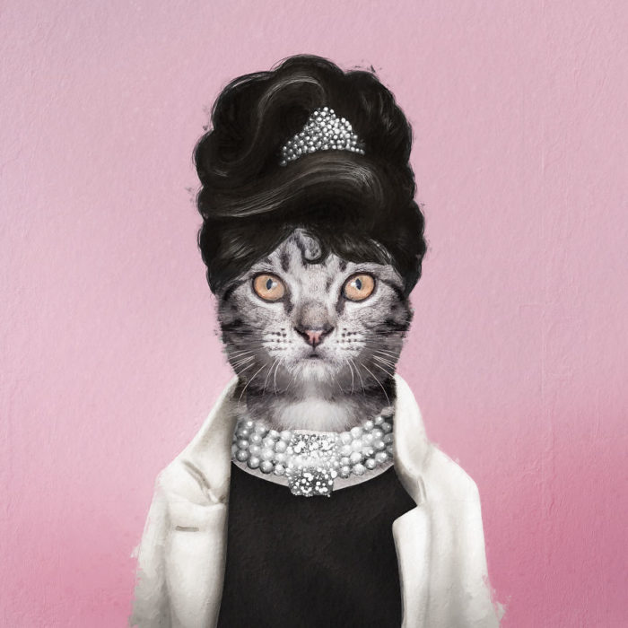 Gato blanco vestido como Audrey Hepburn 