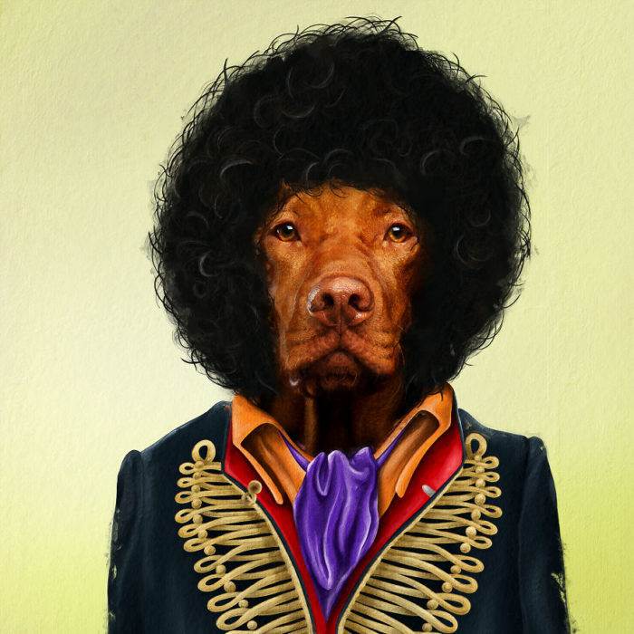 Perro disfrazado como Jimi Hendrix