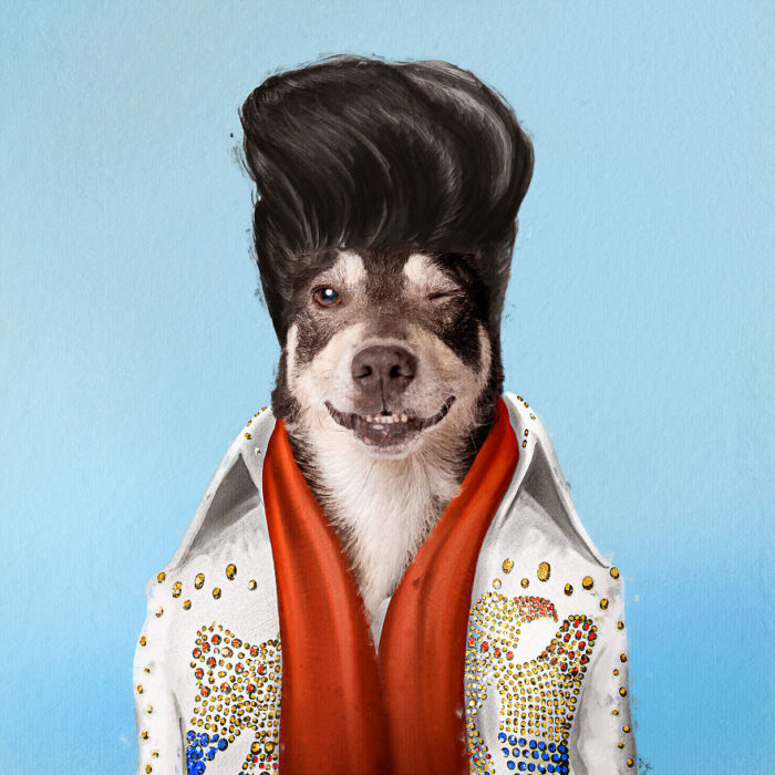 Perro de raza pequeña vestido como Elvis Presley