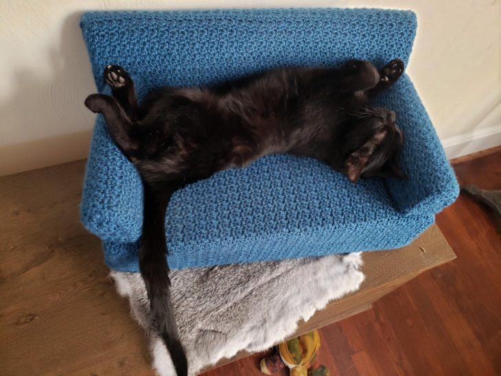 Gato negro acostado en mini sillón azul