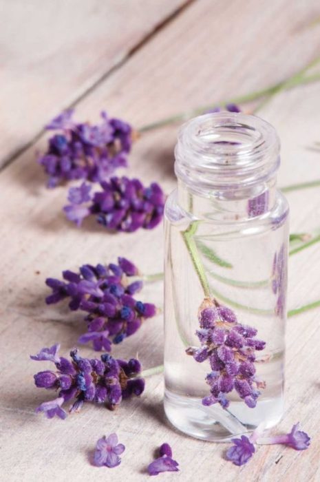 Aceite de lavanda