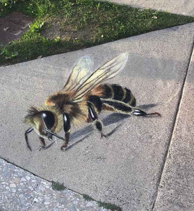 Abeja dibujada en el piso con tiza