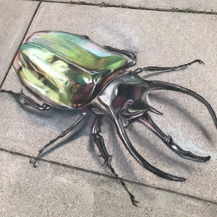 Escarabajo dibujado con tiza