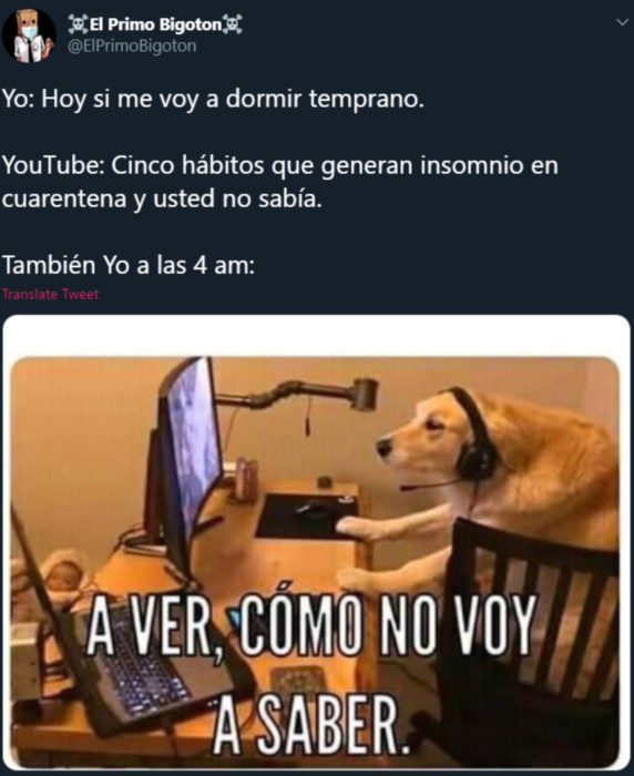 Memes de insomnio en la cuarentena; perro en la computadora