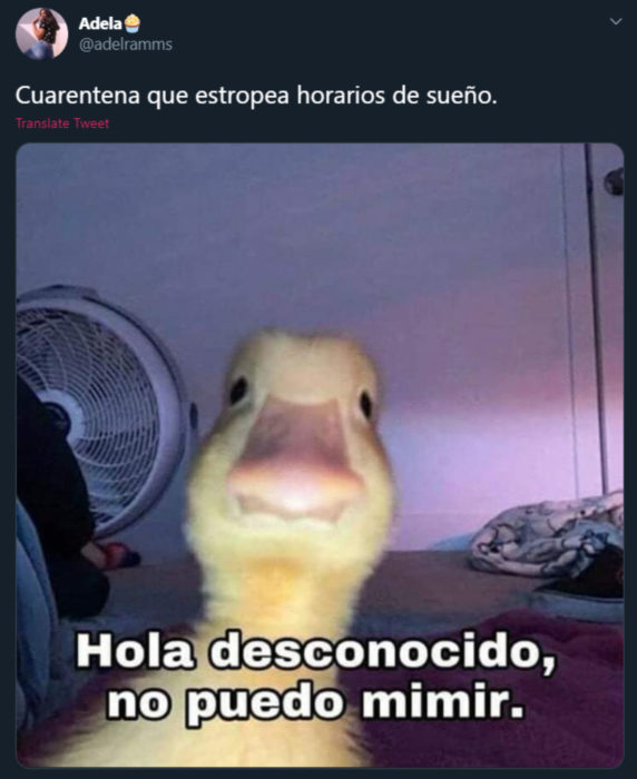 Memes de insomnio en la cuarentena; pato en el celular