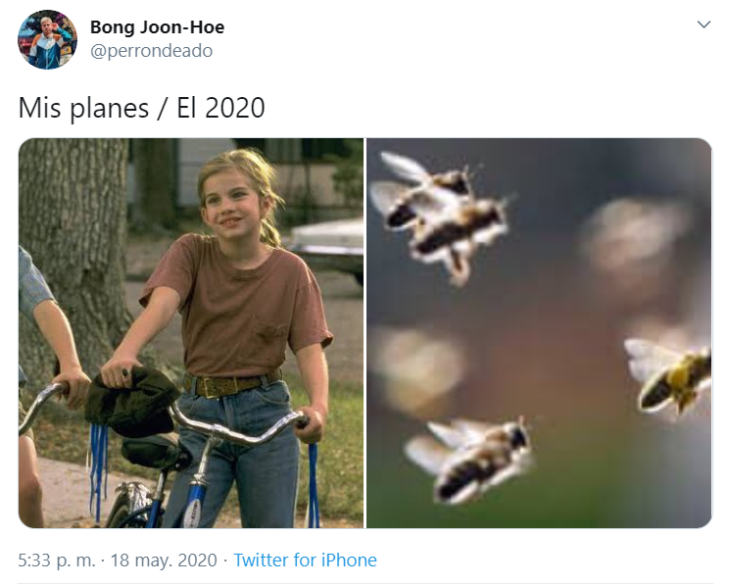 Mis planes vs 2020