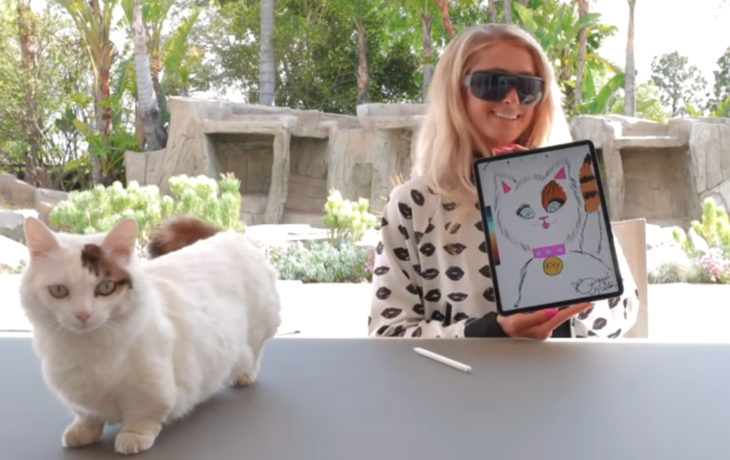 Paris Hilton pintando gatos