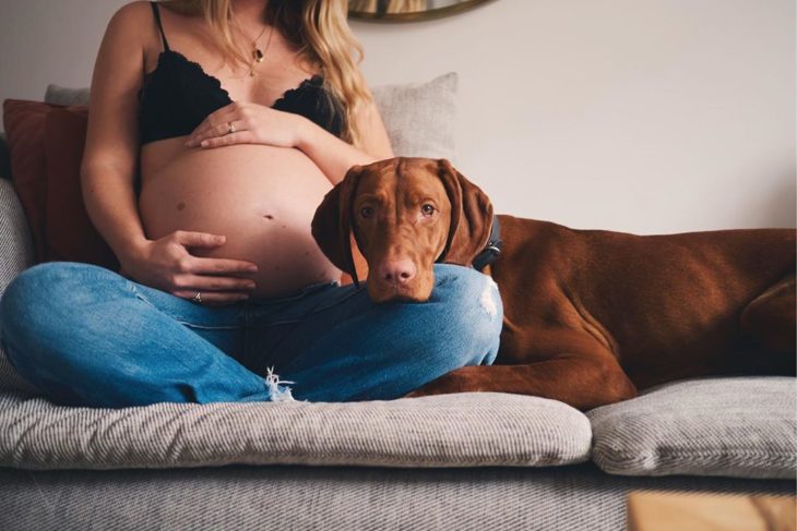 Mujer embarazada, con perro apoyando la cabeza en su pierna