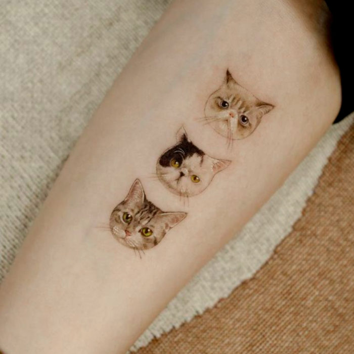 Tatuajes temporales; retratos de gatos realistas en el brazo