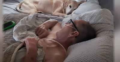 La conexión más poderosa: un hombre y su perrito mueren el mismo día