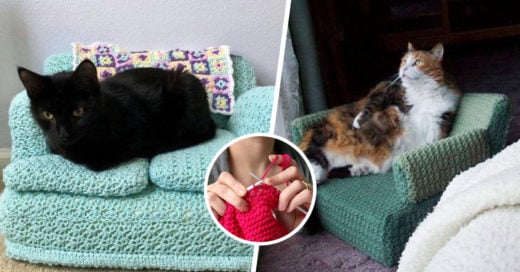Personas hacen sofás para sus gatos con crochet y nos morimos de ternura