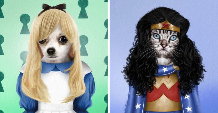 18 Mascotas vestidas como personajes de la cultura pop que alegrarán tu día