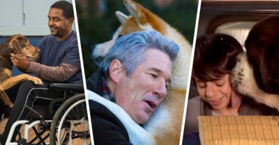 13 Pelis que te harán correr a abrazar a tu perrhijo
