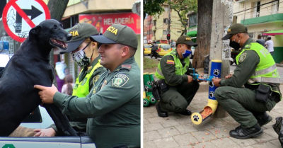 Policía instala dispensadores de comida para perritos sin hogar