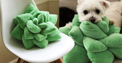 Estos cojines de suculentas son la decoración perfecta si amas las plantas