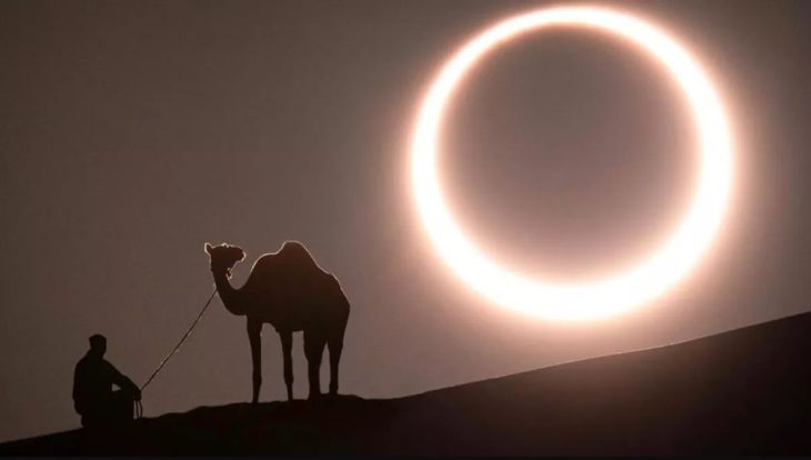 Persona y camello viendo el eclipse solar