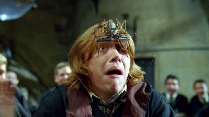 Ron Weasley le teme a las arañas y tiene una gigante sobre el rostro