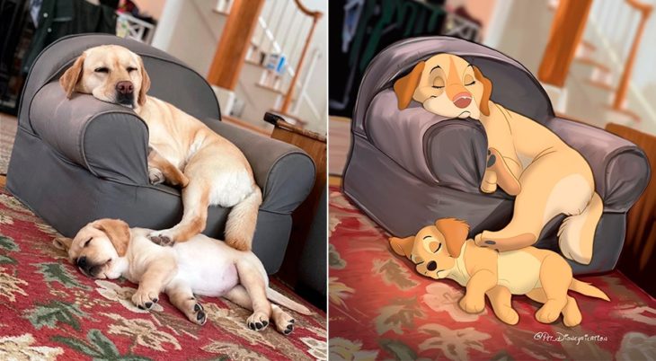 Dibujo 'Disneyficado' de dos perros labrador dormidos 