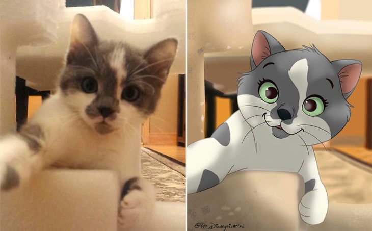 Dibujo 'Disneyficado' de un gatito que mira a la cámara