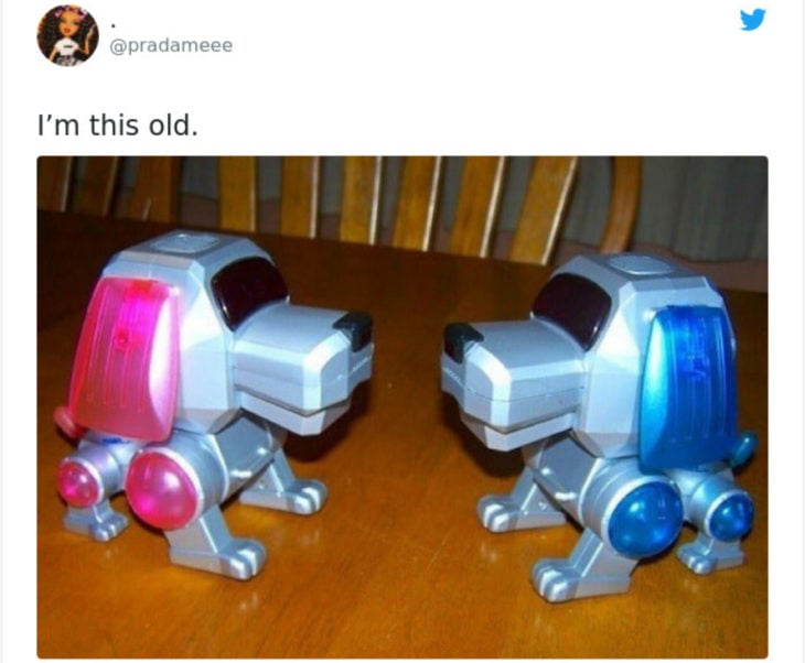 Artículos vintage que te harán sentir viejo; perro robot de juguete, Poo-Chi