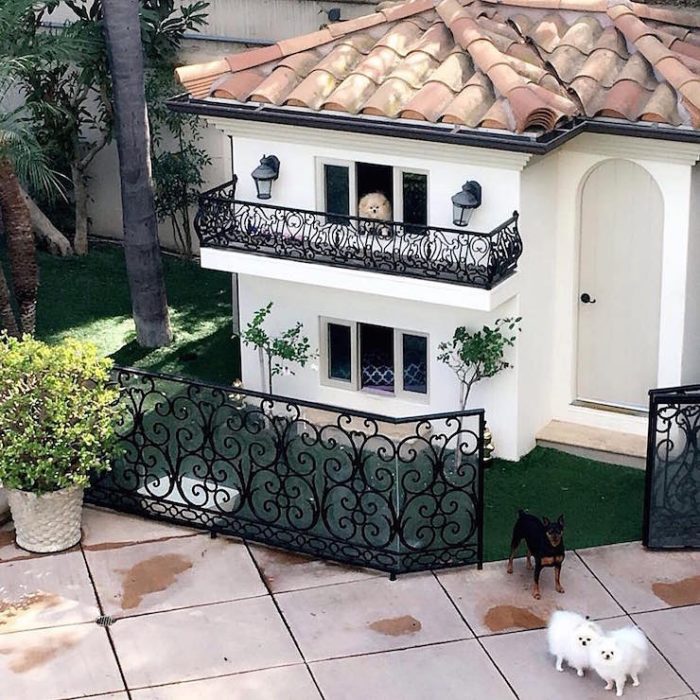 10 mini lujosas casas que tienen los perros de los famosos