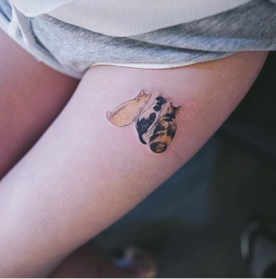 Tatuaje mini de gato naranja y gato carey en el brazo