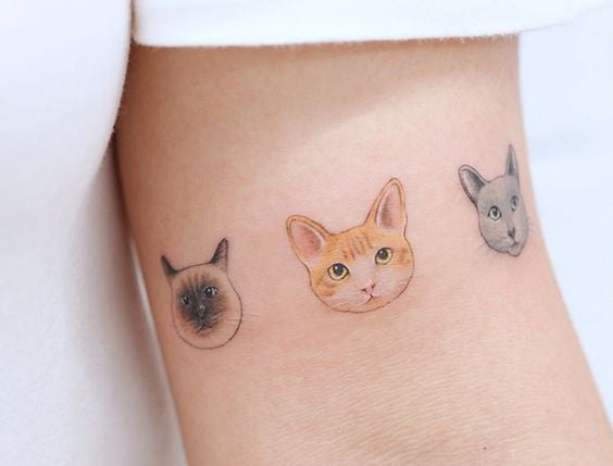 Tatuaje en el brazo de tres caras de gatos siamés, naranja y gris