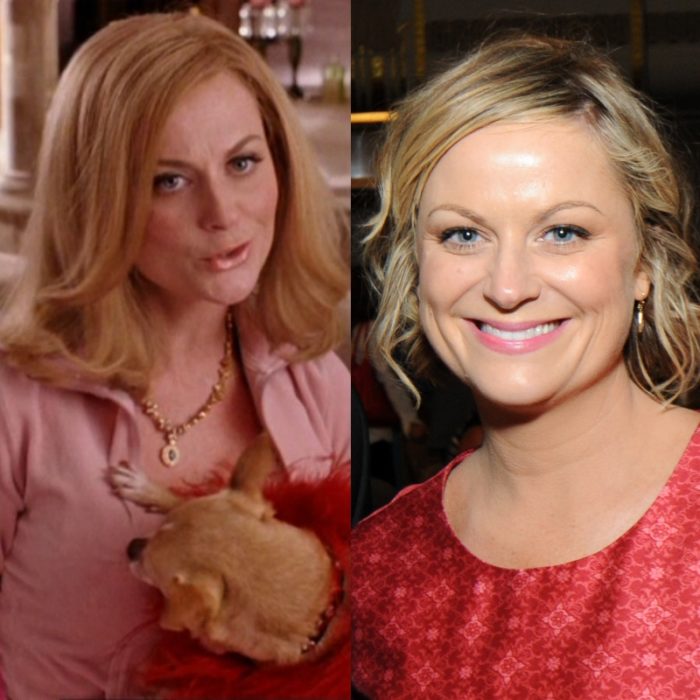 actriz amy poehler como june george en chicas pesadas