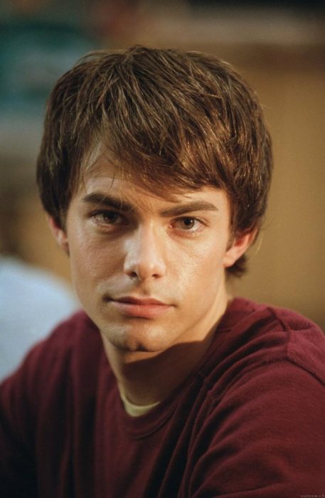 Aaron Samuels, Chicas Pesadas, Mean Girls