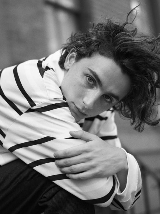 actor timoteé chalamet