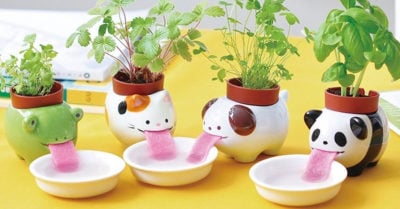 Estas macetas que ‘beben’ agua son lo más adorable del mundo