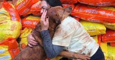 Dona comida a albergue de perros y uno de ellos le agradece con un abrazo