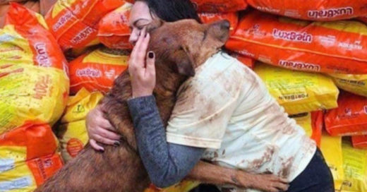 Dona comida a albergue y perrito le agradece con un abrazo