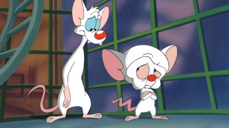 Pinky y Cerebro personajes animados de la caricatura Animaniacs