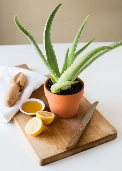 Limón y aloe vera para acabar con las imperfecciones