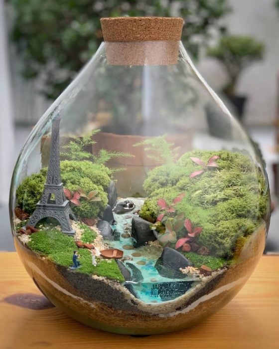 Mini-Ökosystem im Glasbehälter