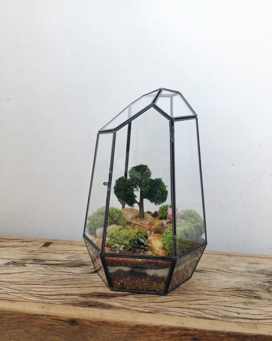 Mini ecosistema en contenedor de cristal