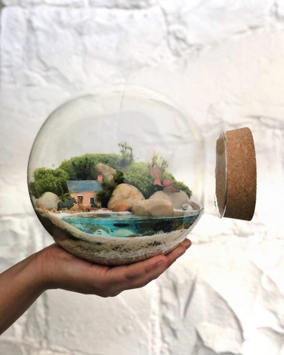 Mini ecosistema en contenedor de cristal
