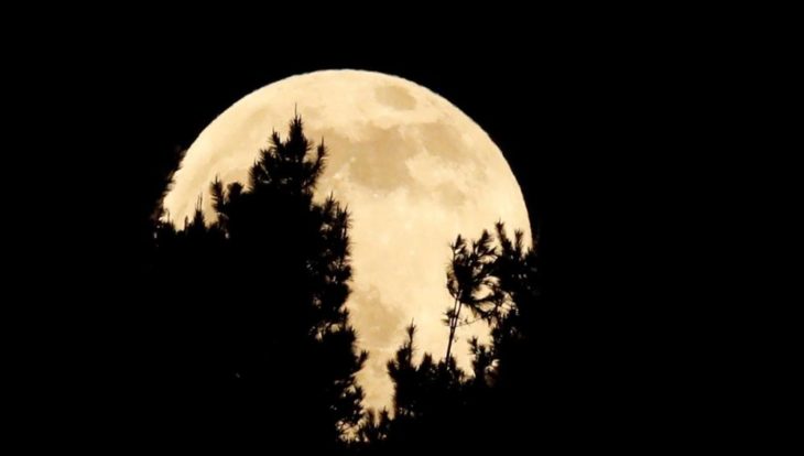 Noche de luna llena